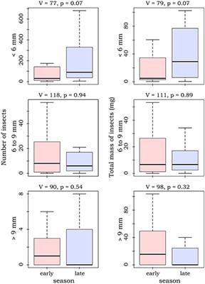 How Bats Escape the Competitive Exclusion Principle—Seasonal Shift From Intraspecific to Interspecific Competition Drives Space Use in a Bat Ensemble